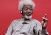 Police lie about herdsmen invasion of my property – Soyinka
