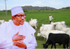 Which grazing area is Buhari talking about?