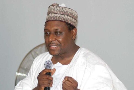 Lead exposure costs Africa loses $135bn yearly — WHO