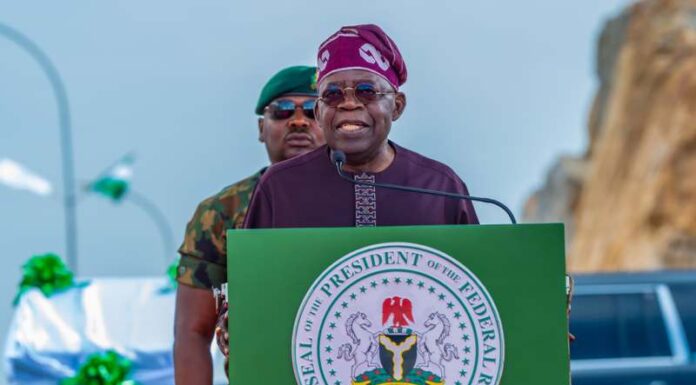 Two years of Tinubu: Two stories behind the positive numbers