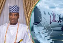 Alcohol, curse and Fuji maestro