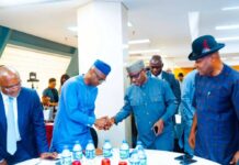 FG committed to advancing Brass Gas Projects – Ekpo