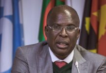 Timipre Sylva wanted for alleged coup plotting, brother arrested