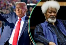 Trump strips Soyinka of US visa