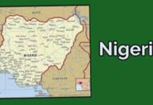 Wetin LGAs dey do sef?