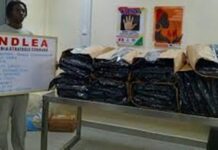 NDLEA arrests musician, Steady Boy, with illicit drug