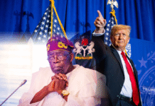 Trump plans military offensive against Nigeria