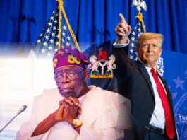 Trump plans military offensive against Nigeria