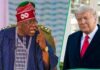 Tinubu meets Trump over Christian genocide allegation
