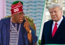 Tinubu meets Trump over Christian genocide allegation