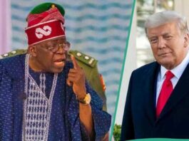 Tinubu meets Trump over Christian genocide allegation